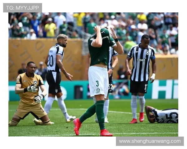 帕尔梅拉斯与弗拉门戈再度决战历史交锋各胜两场期待决赛精彩对决