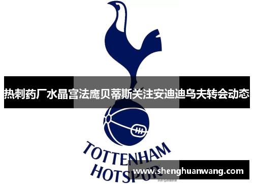 热刺药厂水晶宫法鹰贝蒂斯关注安迪迪乌夫转会动态